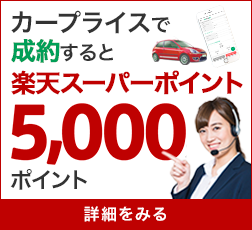 楽天カーオークション（旧カープライス） 楽天ポイント